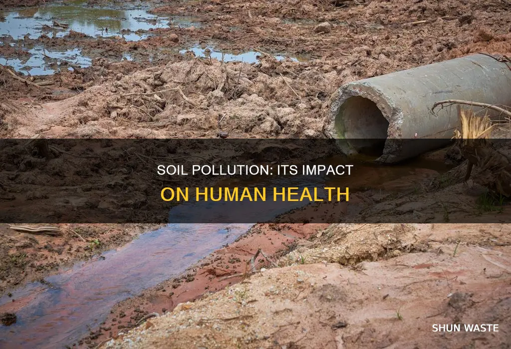 how soil pollution effects human health