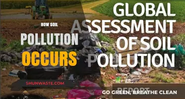 Soil Pollution: Causes and Human Impact
