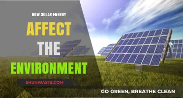 Solar Power's Environmental Impact: Benefits, Challenges, and Sustainable Future