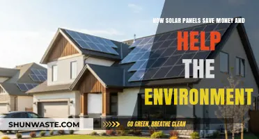 Solar Panels: Cutting Costs, Reducing Carbon, and Saving the Planet
