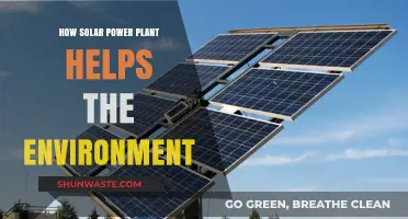 Solar Power Plants: Eco-Friendly Energy Solutions for a Greener Future