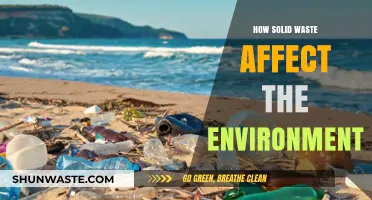 Solid Waste's Environmental Impact: Pollution, Health Risks, and Ecosystem Destruction