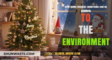 Eco-Friendly Celebrations: Rethinking Holiday Traditions for a Greener Planet