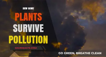 Plants' Resilience: Surviving Pollution and Adversity