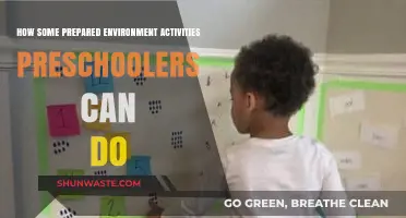 Engaging Prepared Environment Activities for Preschoolers to Explore and Learn