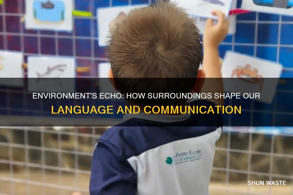 Environment's Echo: How Surroundings Shape Our Language And ...