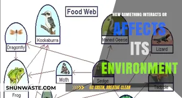 Exploring the Dynamic Relationship Between Organisms and Their Ecosystems