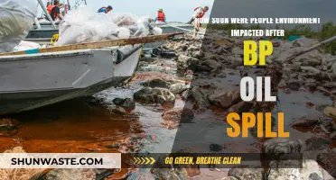 BP Oil Spill's Immediate Environmental Impact: A Timeline of Devastation