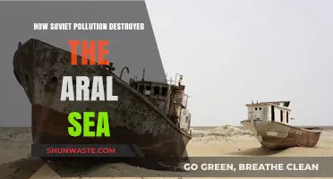 The Aral Sea: Soviet Pollution's Deadliest Victim