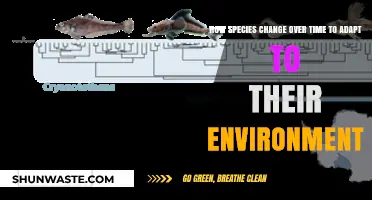 Evolution's Journey: How Species Adapt and Thrive in Changing Environments