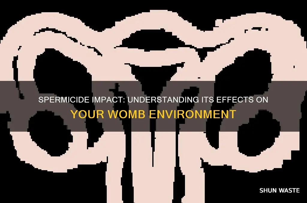 how spermicide can effect your womb environment