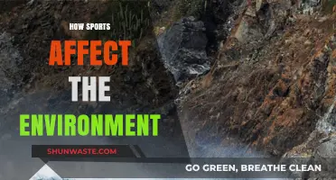 Sports' Environmental Impact: Sustainability Challenges and Green Solutions