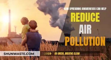 Spreading Awareness: Reducing Air Pollution, Saving Lives