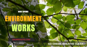 Understanding the Inner Workings of Spring's Environment Configuration