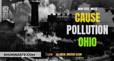 Ohio's Steel Mills: Unveiling the Environmental Impact and Pollution Secrets