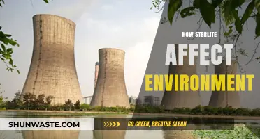 Sterlite's Environmental Impact: Pollution, Health Risks, and Ecosystem Destruction