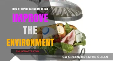 Ditching Meat: A Powerful Step to Heal Our Planet