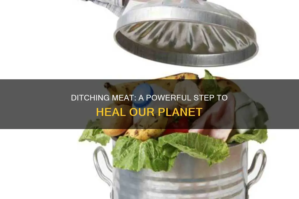 how stopping eating meat can improve the environment