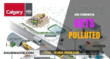 Stormwater Pollution: Understanding the Sources and Impacts