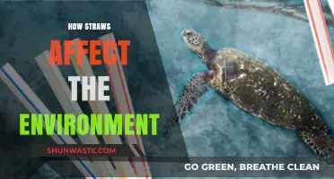 The Hidden Environmental Impact of Plastic Straws: A Wake-Up Call