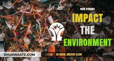 Straws' Environmental Impact: Uncovering the Hidden Harms of Convenience