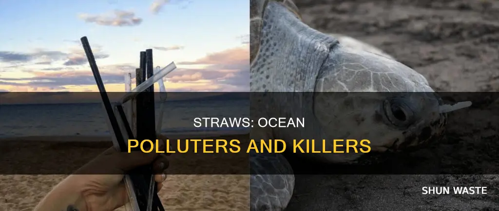 how straws pollute the ocean