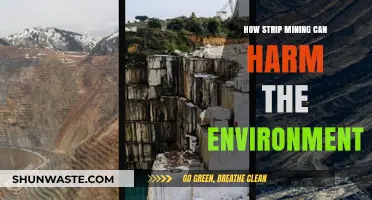 Strip Mining's Devastating Environmental Impact: Soil, Water, and Wildlife at Risk