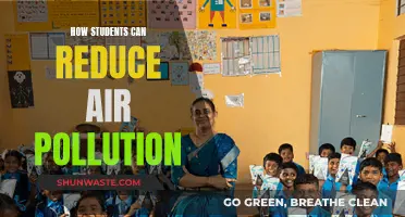 Students' Role in Reducing Air Pollution