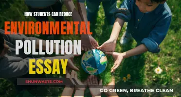 Students' Role in Reducing Environmental Pollution