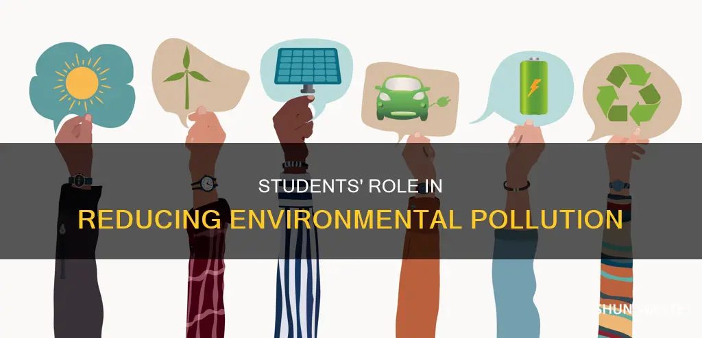 how students can reduce environmental pollution essay