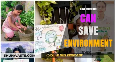 Eco-Friendly Habits: Empowering Students to Protect Our Planet