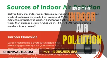 Understanding Indoor Air Pollution: What's in the Air?