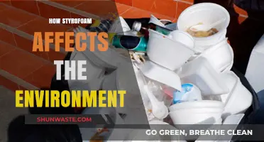 Styrofoam's Environmental Impact: Pollution, Wildlife Threats, and Sustainable Alternatives
