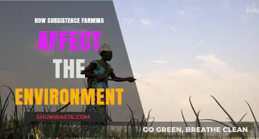 Subsistence Farming's Environmental Impact: Challenges and Sustainable Solutions