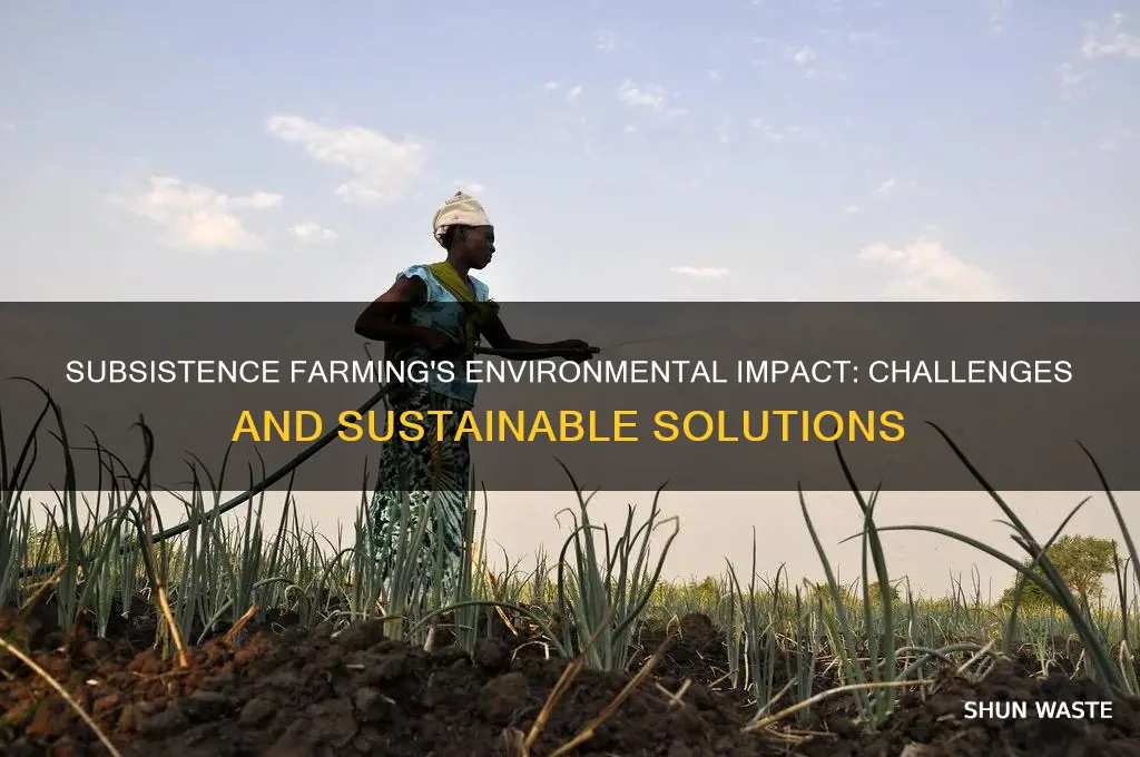how subsistence farming affect the environment