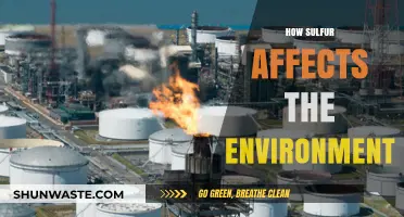 Sulfur's Environmental Impact: Pollution, Acid Rain, and Ecosystem Disruption Explained
