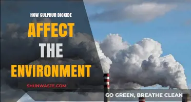 Sulphur Dioxide's Environmental Impact: Air, Water, and Ecosystem Effects