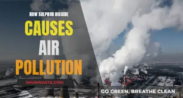 Sulphur Dioxide's Harmful Impact on Air Quality