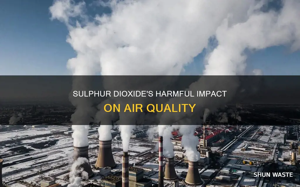 how sulphur dioxide causes air pollution