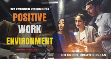 Supervisors' Role in Fostering a Positive and Productive Work Culture