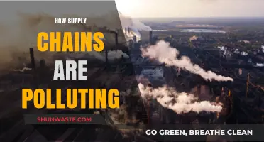 Supply Chains' Pollution Problem: A Global Crisis