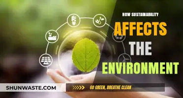 Sustainability's Impact: How Eco-Friendly Practices Transform Our Environment