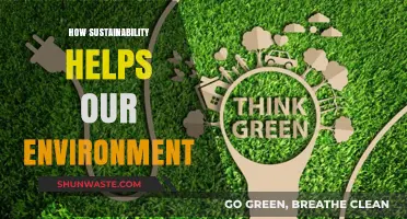 Sustainability's Impact: Protecting Our Planet for a Greener Future