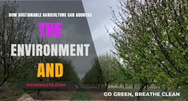 Sustainable Agriculture: Nurturing the Environment and Securing Our Future