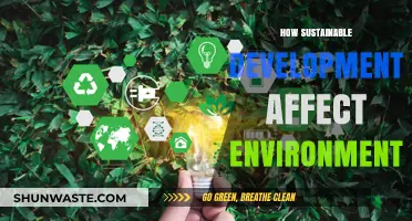 Sustainable Development's Impact: Balancing Progress and Environmental Preservation