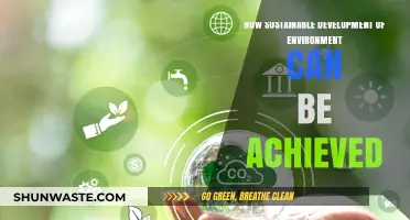 Achieving Environmental Sustainability: Strategies for a Greener Future