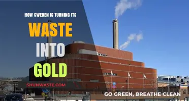 Sweden's Waste-to-Wealth Revolution: Transforming Trash into Treasure and Energy