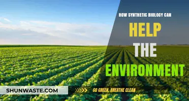 Synthetic Biology: Innovative Solutions for a Greener, Sustainable Future