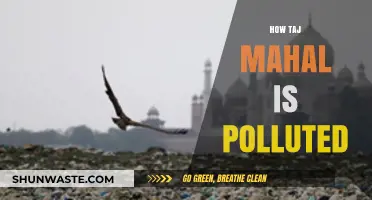 Taj Mahal: Pollution's Toll on a Monument