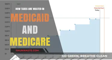 Tax Dollars Squandered: Medicaid and Medicare's Hidden Waste Crisis